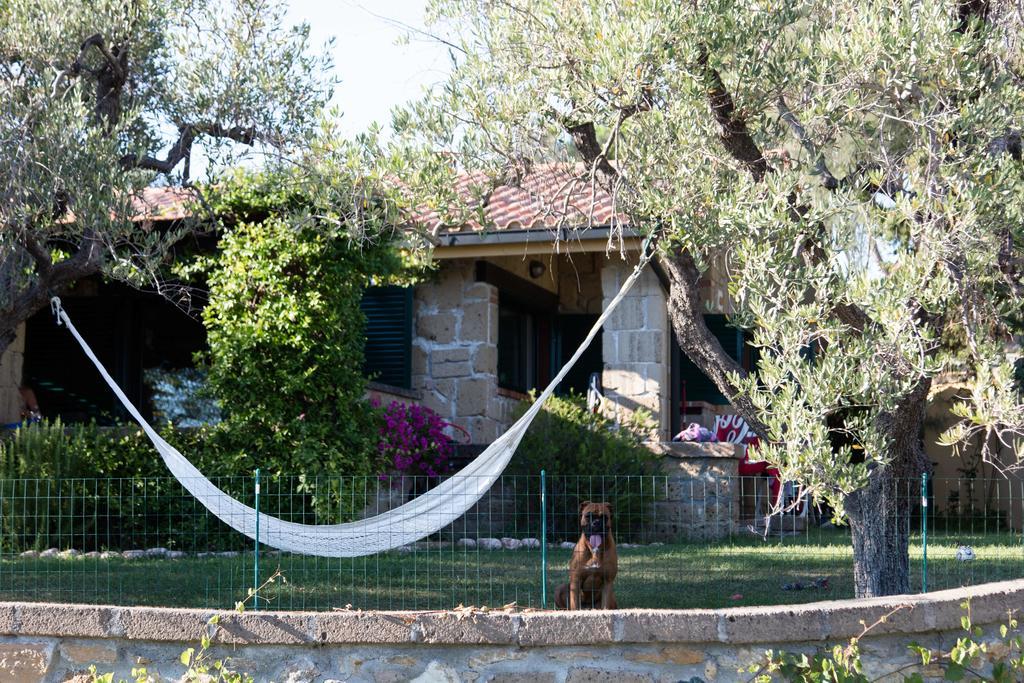 Il Borgo Centro Vacanze Guardistallo Ngoại thất bức ảnh